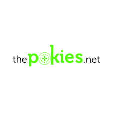Every little thing You Required to Find Out About Playing on ThePokies 111